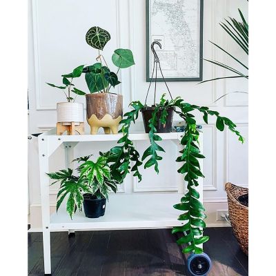 Image showing  Galvanized Steel Portable Multi-Use Two-Tier Trolley, Rolling Cart - Outdoor Garden Potting Table Work Bench, White