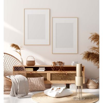 Image showing  IonFlow Evolution Air Purifier, 540 sq. ft., Gold