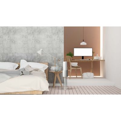 Image showing  IonFlow Signature Air Purifier, 540 sq. ft., White