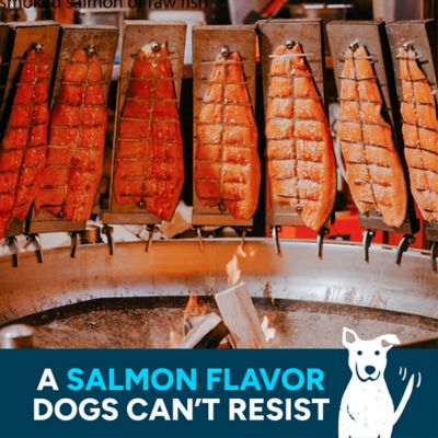 Image showing  Wag More Bark Less Jerky Dog Treats, Smoked Salmon, 10 oz.