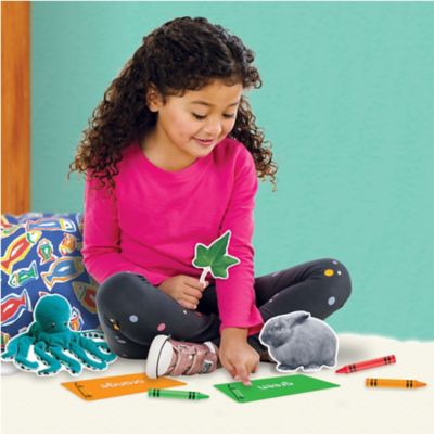 Image showing 5 th TREND Enterprises, Inc Colors All Around Us Learning Set