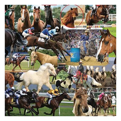 Image showing  1,000 pc. Horses by Steve Smith Jigsaw Puzzle, 24 in. x 30 in.