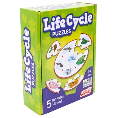Junior Learning Life Cycle Science Learning Puzzles