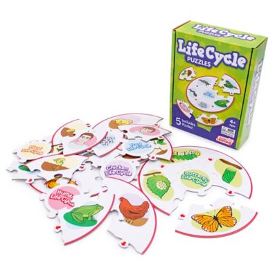 Image showing  Life Cycle Science Learning Puzzles