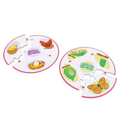 Image showing  Life Cycle Science Learning Puzzles