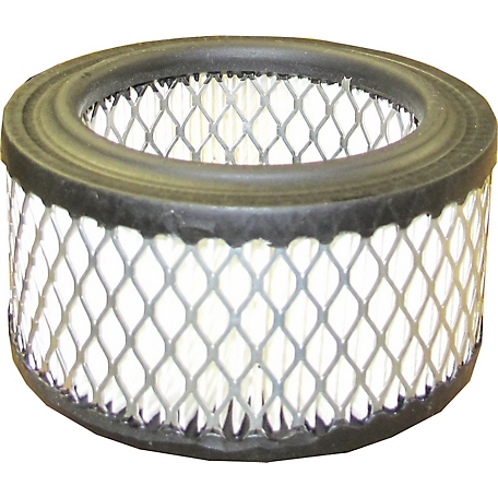 Industrial Gold 1 in. Reciprocating Air Compressor Air Filter, Fits CA1 Series, CA2 Series, CA3 Series