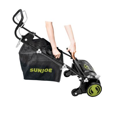 Image showing  Electric Lawn Dethatcher with Collection Bag