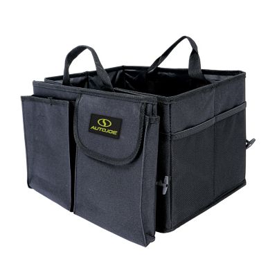 Image showing  85 lb. Collapsible Auto Storage Organizer