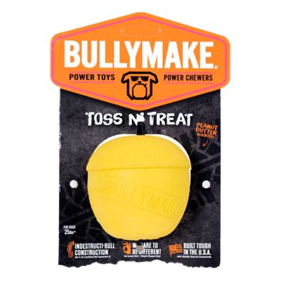 BULLYMAKE Rubber Acorn Dog Chew Toy
