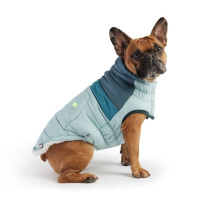Image showing  Retro Puffer Dog Jacket
