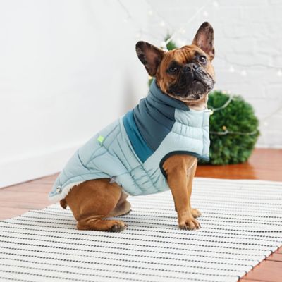 Image showing  Retro Puffer Dog Jacket