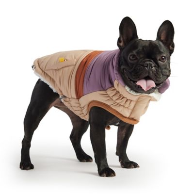 Image showing  Retro Puffer Dog Jacket