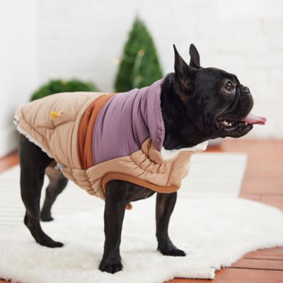 Image showing  Retro Puffer Dog Jacket