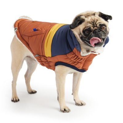 Image showing  Retro Puffer Dog Jacket