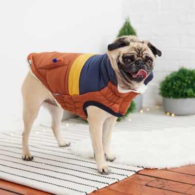 Image showing  Retro Puffer Dog Jacket