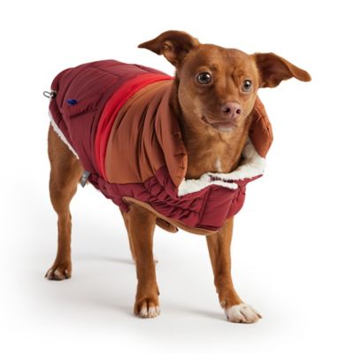 Image showing  Retro Puffer Dog Jacket