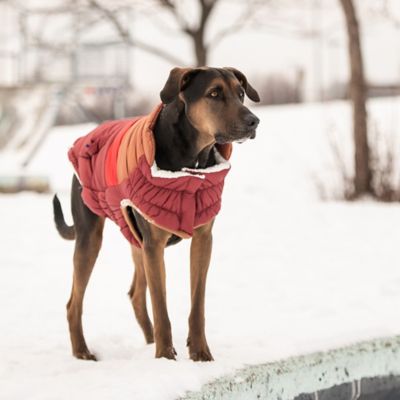 Image showing  Retro Puffer Dog Jacket