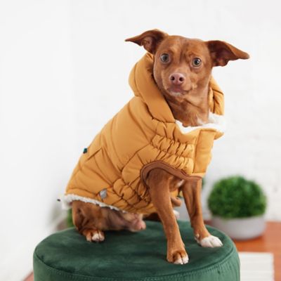 Image showing 3 th GF Pet Super Puff Dog Parka