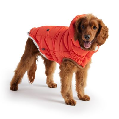 Image showing 2 th GF Pet Super Puff Dog Parka