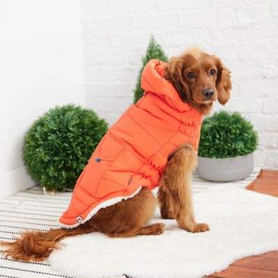 Image showing 3 th GF Pet Super Puff Dog Parka