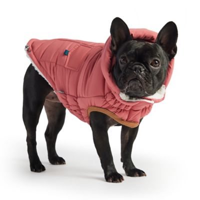 Image showing  Super Puff Dog Parka