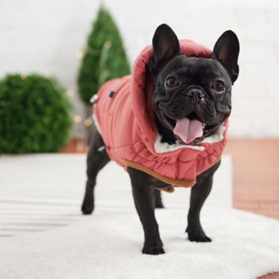 Image showing  Super Puff Dog Parka