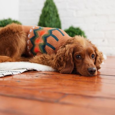 Image showing  Heritage Dog Sweater
