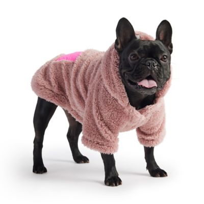 Image showing  Cozy Dog Hoodie