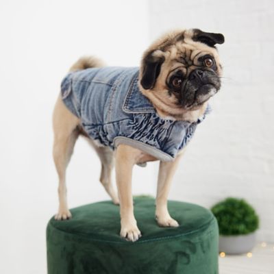 Image showing 3 th GF Pet Denim Dog Jacket, Light Wash