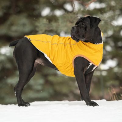 Image showing  Insulated Dog Raincoat