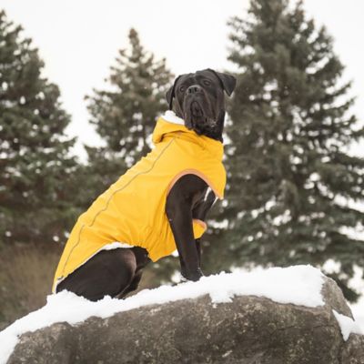 Image showing  Insulated Dog Raincoat
