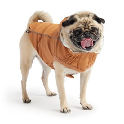Image showing  Insulated Dog Raincoat