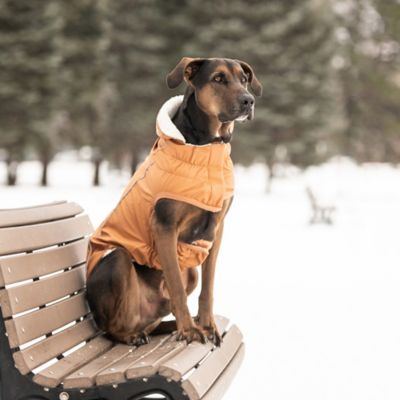 Image showing  Insulated Dog Raincoat