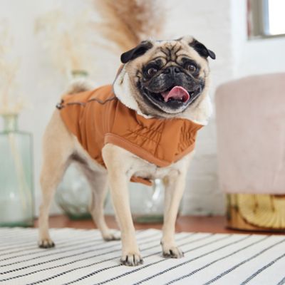 Image showing  Insulated Dog Raincoat