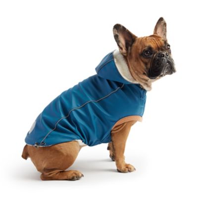 Image showing  Insulated Dog Raincoat