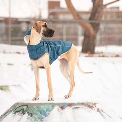 Image showing  Insulated Dog Raincoat