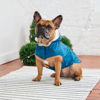 Image showing  Insulated Dog Raincoat