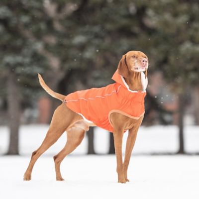 Image showing 3 th GF Pet Insulated Dog Raincoat