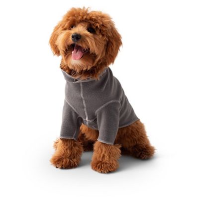 Image showing  Gondola Base Layer Dog Jacket