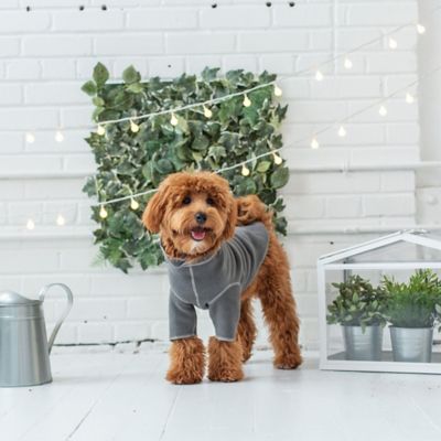 Image showing  Gondola Base Layer Dog Jacket