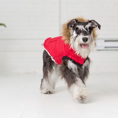 Image showing  Urban Dog Parka, Red
