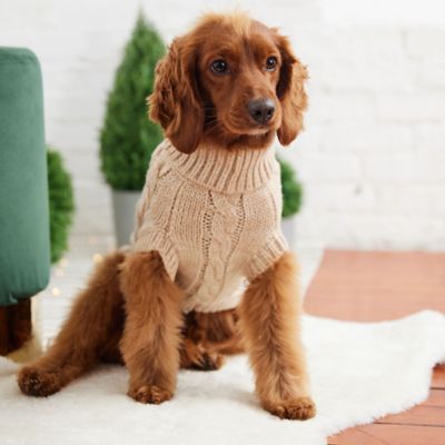 Image showing  Chalet Dog Sweater, Oatmeal