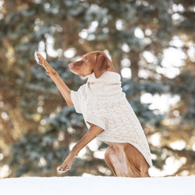 Image showing  Chalet Dog Sweater, Oatmeal