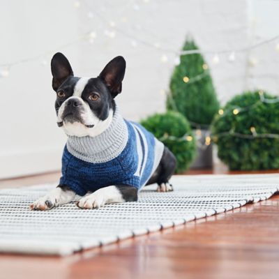 Image showing  Trekking Dog Sweater