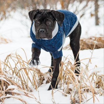 Image showing  Trekking Dog Sweater