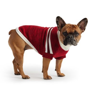 Image showing  Trekking Dog Sweater