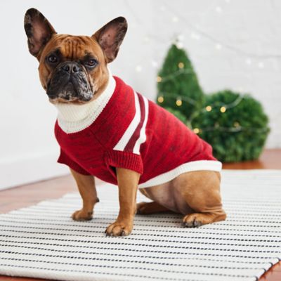 Image showing  Trekking Dog Sweater