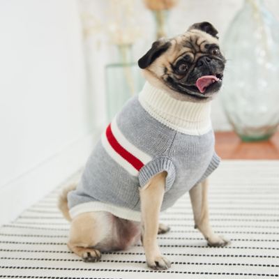 Image showing  Trekking Dog Sweater, Gray