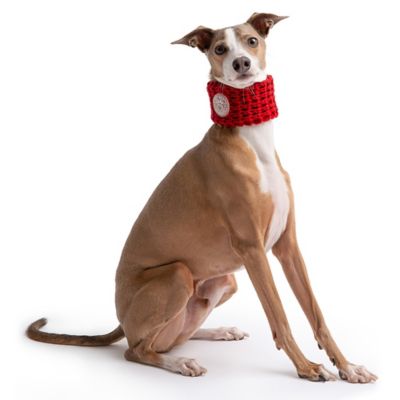 Image showing  Chalet Tube Dog Scarf