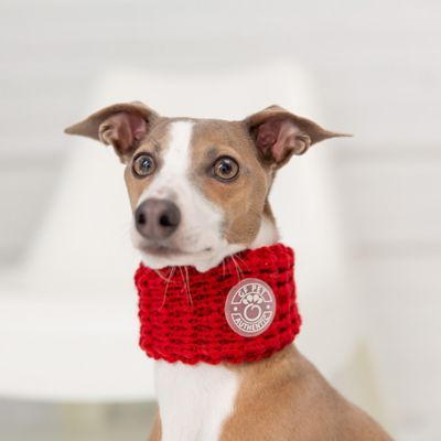 Image showing  Chalet Tube Dog Scarf